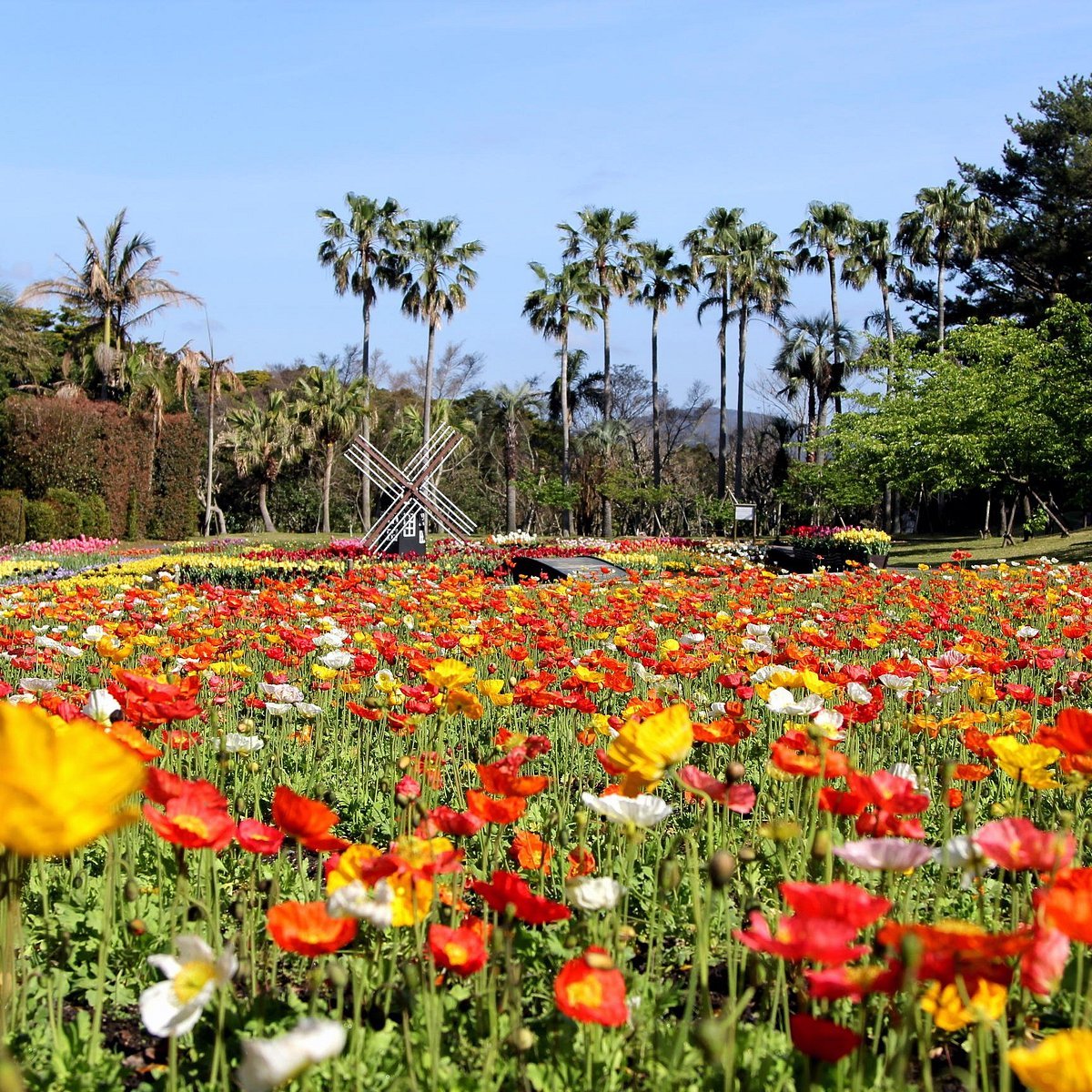 🌸 가고시마 도시농업센터(가고시마 토시노교센타) 이미지 6
